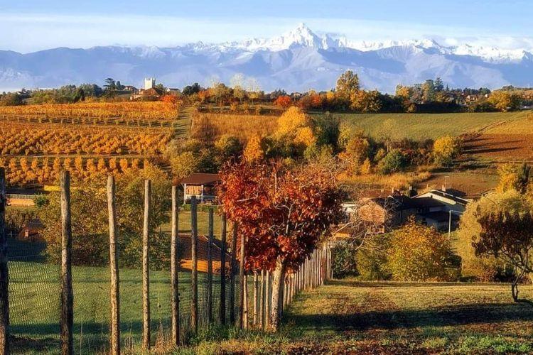 Frutteto storico condiviso